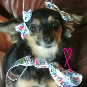 Meet your Posher, Audrey